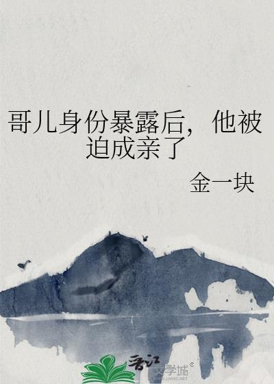 穿越哥儿被休再嫁