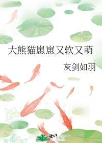 大熊猫崽崽又软又萌157章免费阅读