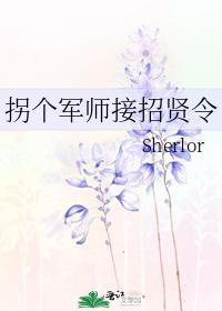 拐个军师接招贤令 Sherlor