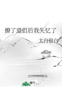 撩了道侣后我失忆了免费阅读