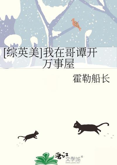 综英美我在哥谭开万事屋晋江