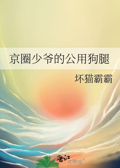 京圈少爷的公用狗腿第四间别墅