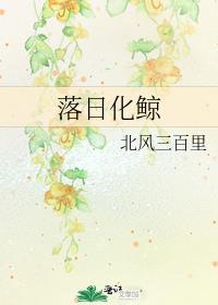 落日化鲸是be还是he