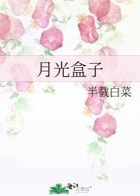 月光盒子TXT