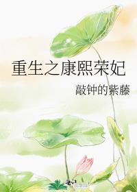 重生之康熙荣妃完整版