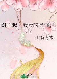 对不起我爱不起你
