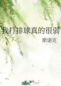 我认为打排球不容易翻译成英文