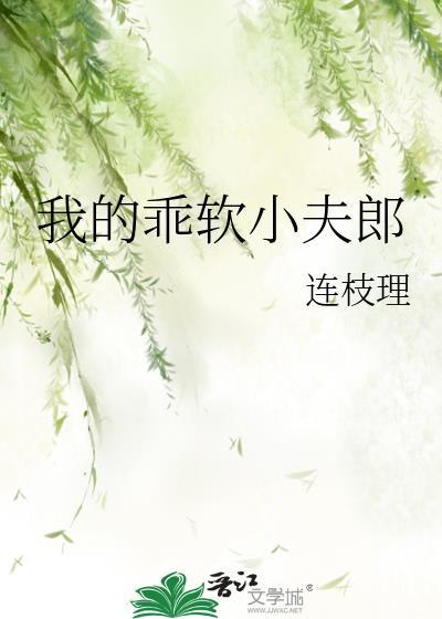 我的乖软小夫郎讲的什么