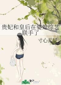贵妃和皇后的区别很大吗