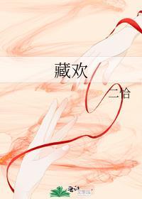 藏欢记