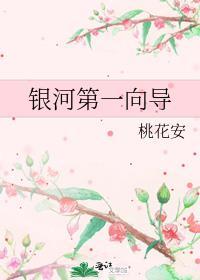 或有情txt