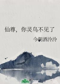 你灵鸟不见了在线阅读