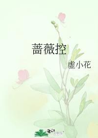 蔷薇控 虚小花 笔趣阁
