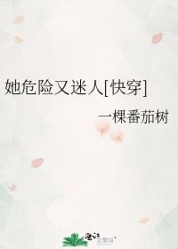 裙钗之下TXT百度