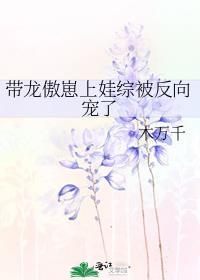 带龙傲崽上娃综被反向宠了百度