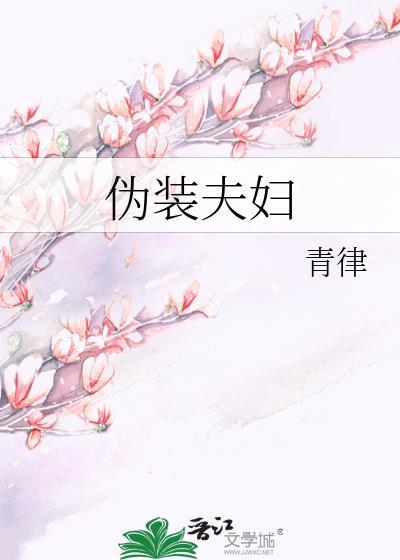 伪装夫妇日剧全集在线观看