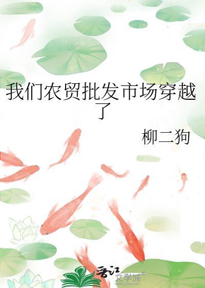 我的人设是什么