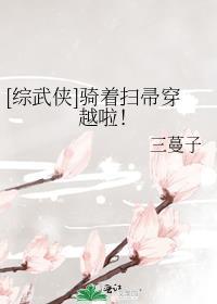 综武侠骑着扫帚穿越啦百度