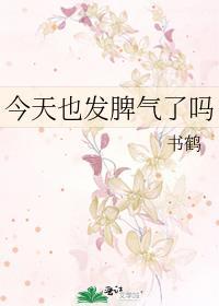 今天也发脾气了吗txt