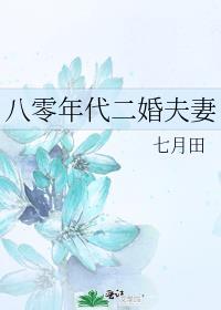 八零年代二婚夫妻七月田txt