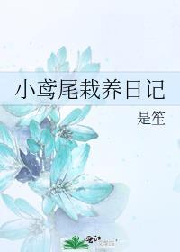 别叼着狗!晋江手机