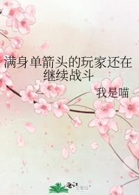 上单全身是箭