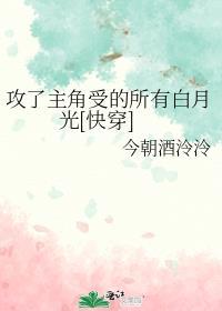 攻了言情文男主后[穿书