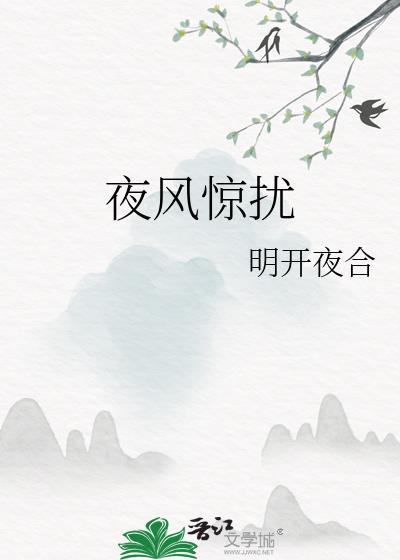 夜风惊扰by明开夜合讲的什么