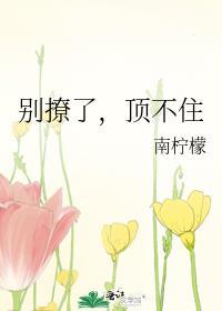 别撩了!停下!