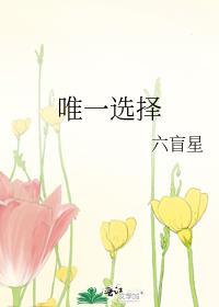 唯一选择六盲星百度