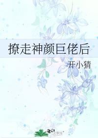 撩走神颜巨佬后gl爱看书txt