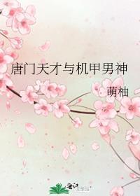 唐门少主和机甲男神的