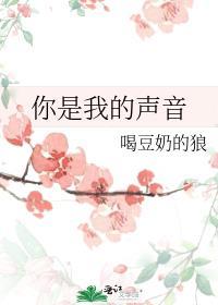 主线任务攻略我?格格党