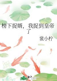 我榜下捉婿后翻车了