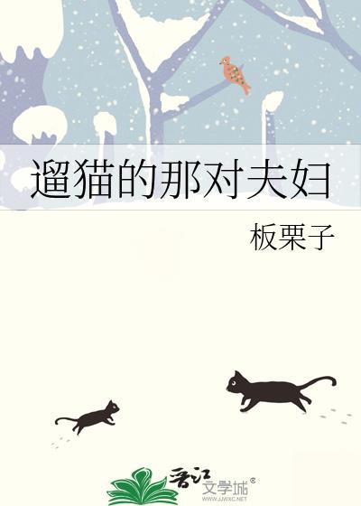 玩猫遛狗