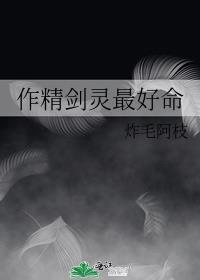 剑灵精气属性列表