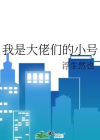 我是大佬前