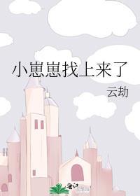 小崽崽找上来了免费阅读