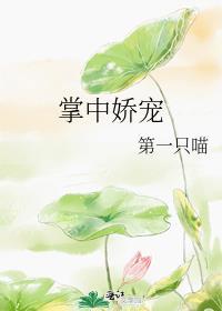 掌中娇宠重生
