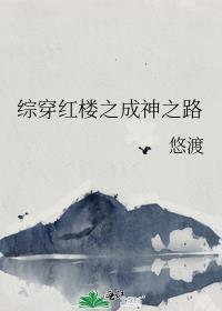 综穿红楼