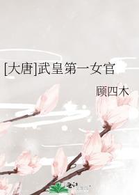 武唐第一风流纨绔黄昏前面