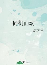 伺机而动读音