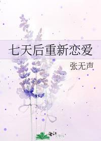 恋爱七天过程