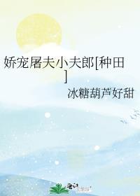 屠夫家的小夫郎
