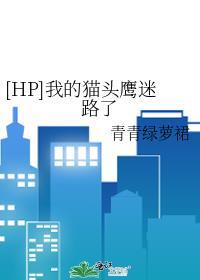 hp我的猫头鹰迷路了免费阅读