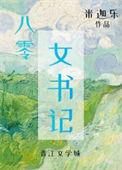 八零女书记 阅读