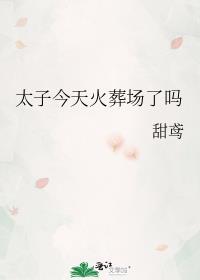 太子今天火葬场了吗蜜禾