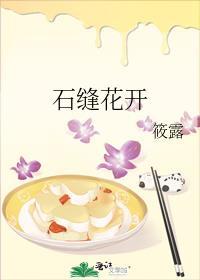 石缝间的花草图片
