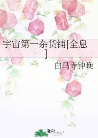 宇宙第一杂货铺[全息
