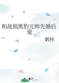 和战损黑豹元帅先婚后爱 鹤梓/著